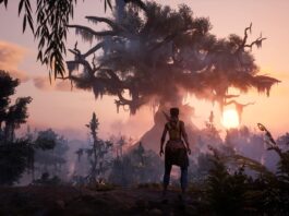Xbox: Several studios about to close? Insiders warn of “imminent bloodbath” -
